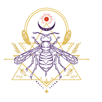Illuminosity Healing
